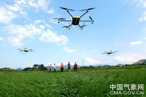 三夏指的是什么，什么是三夏（这些天气需注意……）