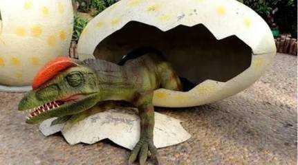 鸡下蛋的原理，鸡下蛋的规律（但生物学上很明确）