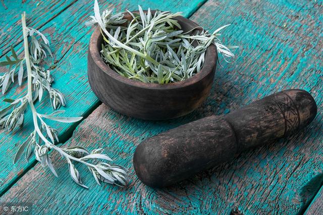 艾草能治什么病，艾草都能治啥病（分享几个艾草的治病验方）