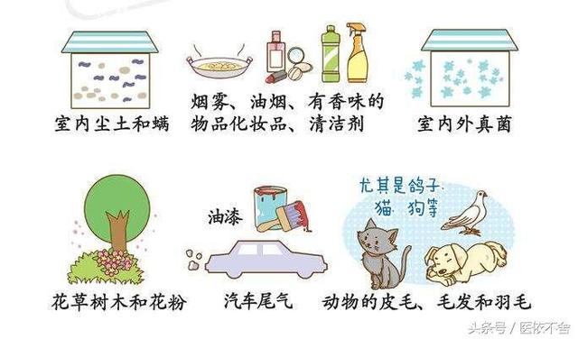 哮喘吃什么好，哮喘吃什么药好呢（哮喘病人的饮食要清淡易消化）