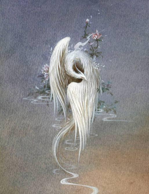 十二星座之离奇事件，12星座离奇事件有哪些（十二星座遇到过哪些灵异事件）