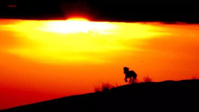 特勤是干嘛的，厂里特勤是干嘛的（“我愿用我一切换你岁月长留”这是一个小警对老警的牵挂）