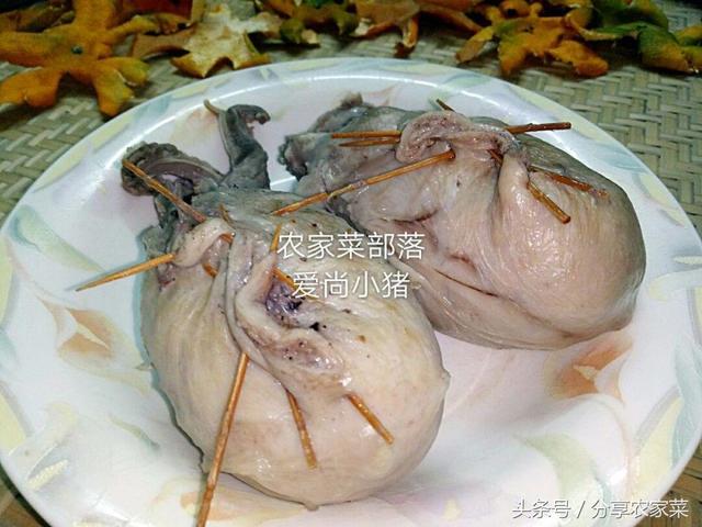 猪小肚是哪个部位，猪肚是什么器官（这是猪储存尿液的地方）