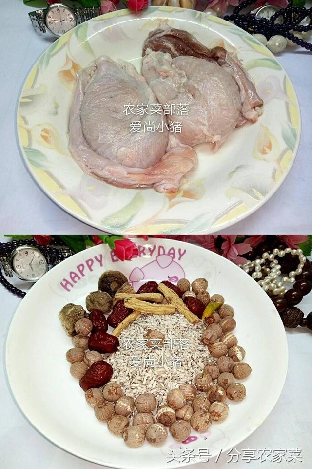 猪小肚是哪个部位，猪肚是什么器官（这是猪储存尿液的地方）