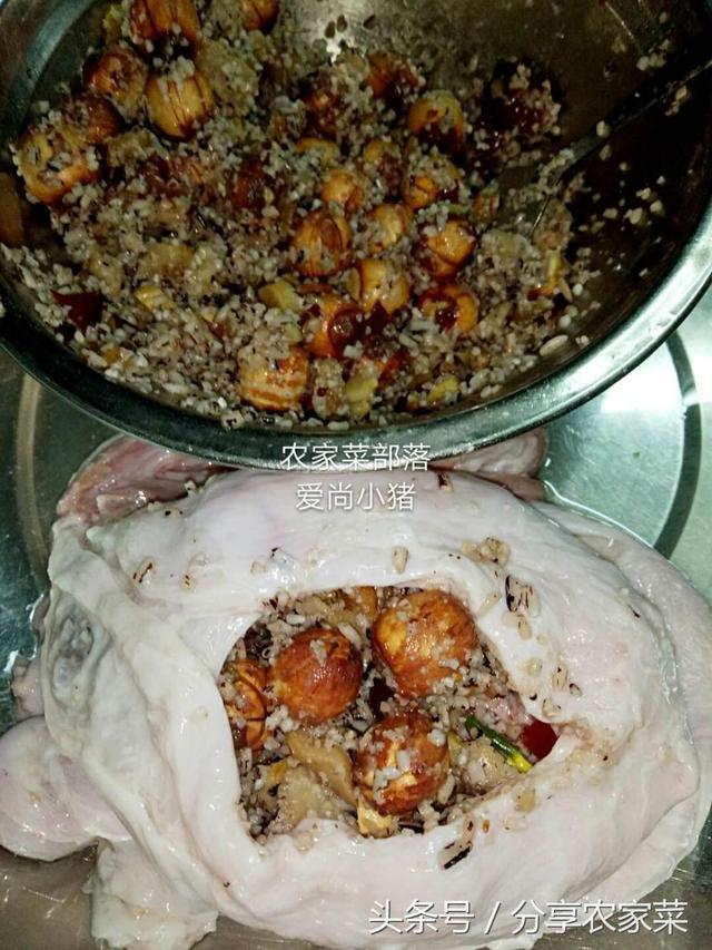 猪小肚是哪个部位，猪肚是什么器官（这是猪储存尿液的地方）