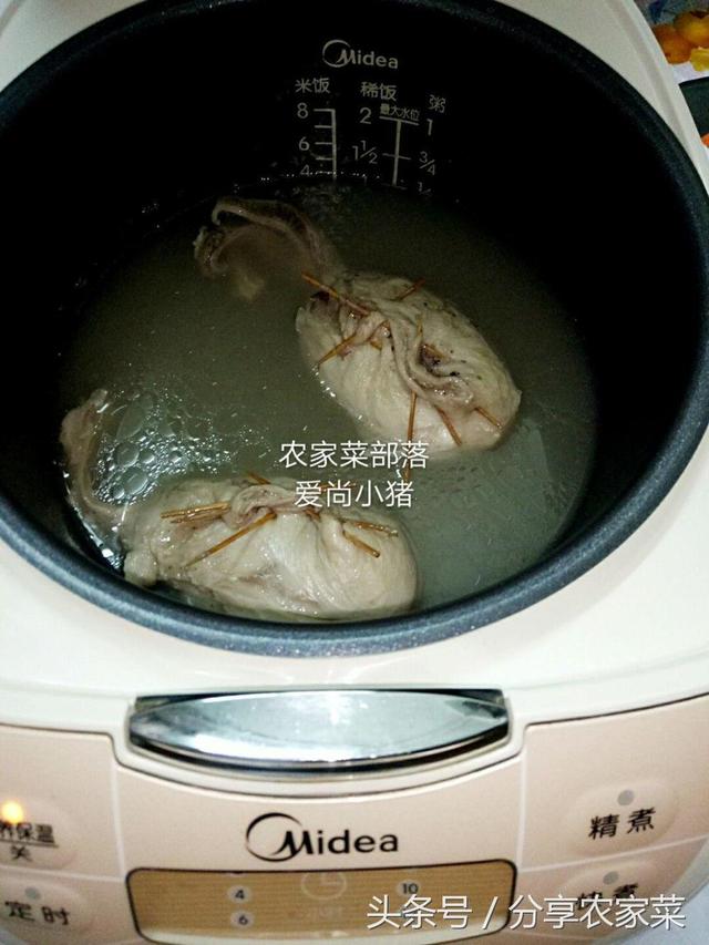 猪小肚是哪个部位，猪肚是什么器官（这是猪储存尿液的地方）