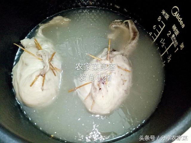 猪小肚是哪个部位，猪肚是什么器官（这是猪储存尿液的地方）