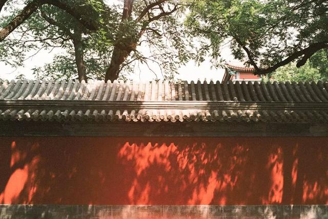 折纸床怎么折，怎么折折纸床（还拿了德国红点设计大奖和国际专利）