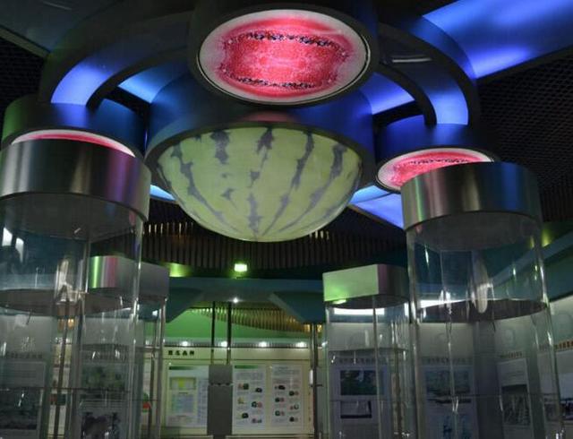 西瓜博物馆,西瓜博物馆开放时间周末(吃西瓜也得懂历史,就在中国) 西瓜博物馆,西瓜博物馆开放时间周末(吃西瓜也得懂历史,就在中国)