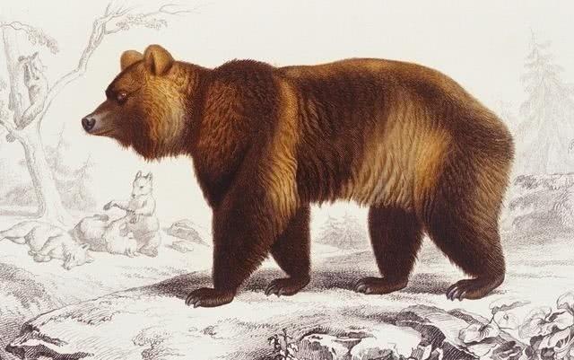 已经灭绝的动物，已经灭绝的十大动物（10种在近代已灭绝的动物）