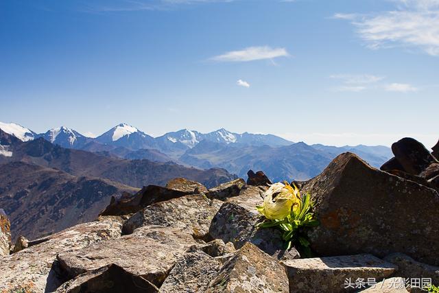 徒步博格达峰，孤寂的行者——记天山博格达峰自然保护区大东沟徒步