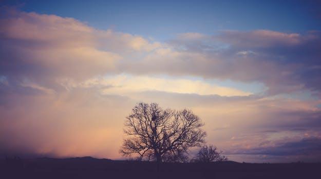 企业破产的法律责任是什么，企业破产的法律责任是什么案件（公司破产清算有什么法律责任）