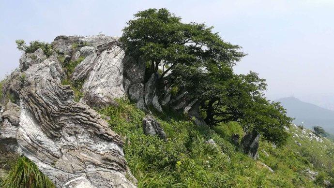 翠屏山庄（西子林）