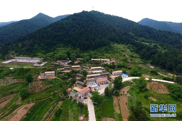 天然氧吧什么意思，处暑“二候天地始肃”（太岳山上的“天然氧吧”）