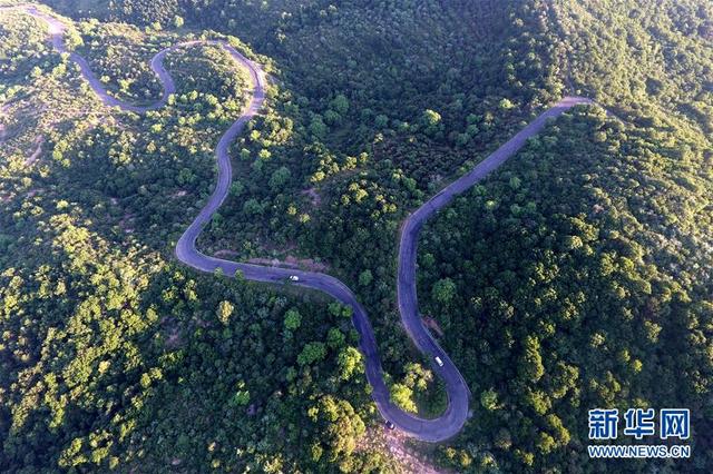 天然氧吧什么意思，处暑“二候天地始肃”（太岳山上的“天然氧吧”）