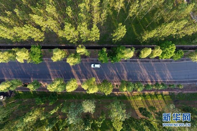 天然氧吧什么意思，处暑“二候天地始肃”（太岳山上的“天然氧吧”）