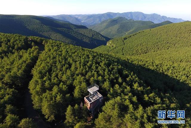 天然氧吧什么意思，处暑“二候天地始肃”（太岳山上的“天然氧吧”）