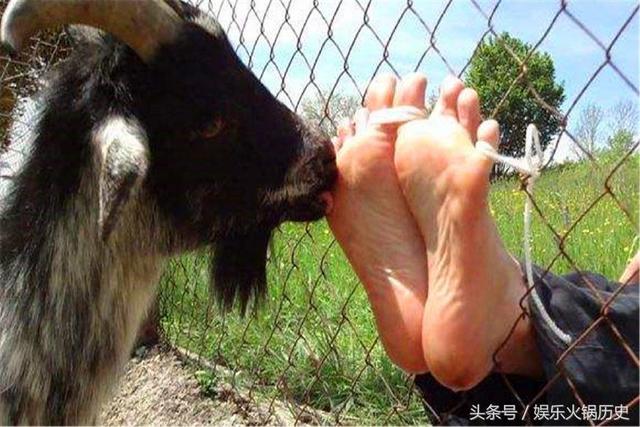 什么是笑刑，什么是笑刑 厉害（在古代却是一种酷刑、现在有人花钱想体验）