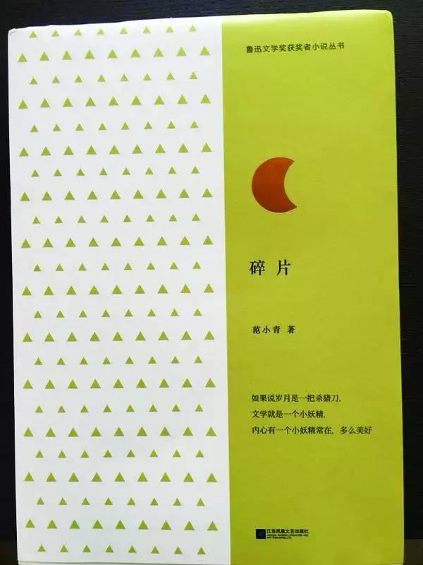 苏派的小说，苏派的小说(陆言陈岚)（“苏派”掌门范小青）