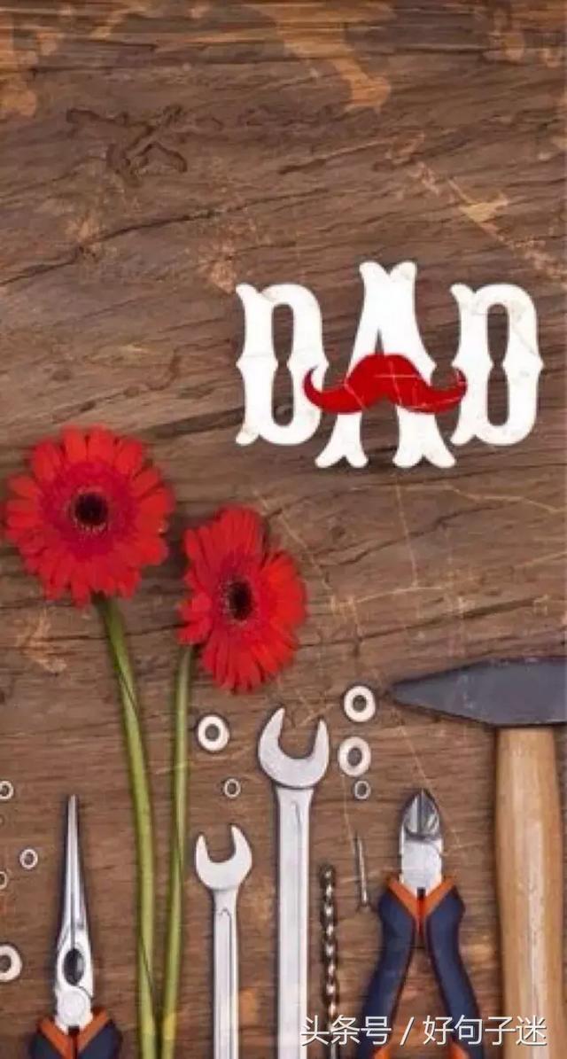 感恩父亲的句子，感恩父亲的句子大全（感恩父亲的说说带图片）