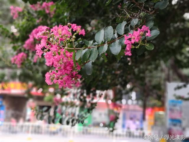 遂溪县属于哪个市，湛江遂溪县城印象