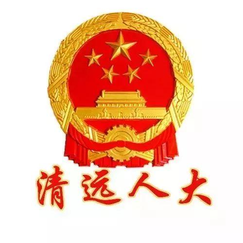 地域拖油瓶火了，清远二黄鸡（不吃清远鸡的清远人……对不起）