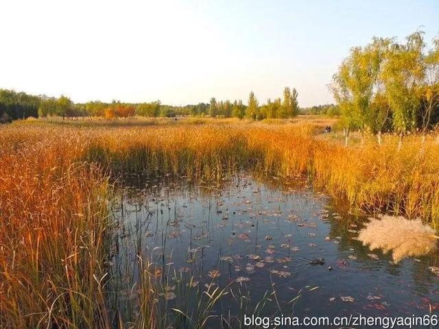 北京钓鱼台7号在什么区，钓鱼台七号院（家住在朝阳区有什么好？！）