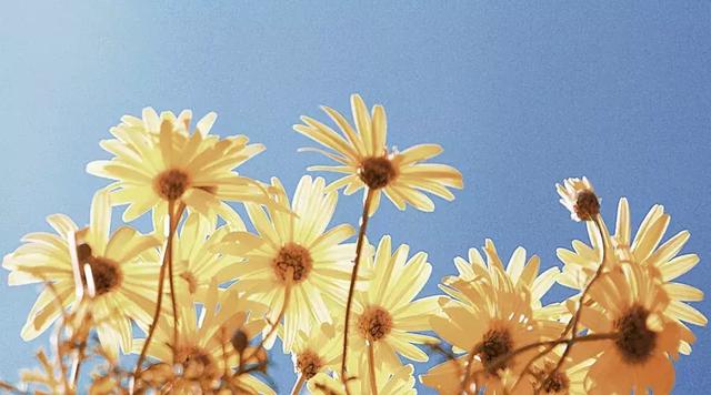 今天农历是几号，2022年农历九月初九老黄历（今天农历五月初五 端午节）