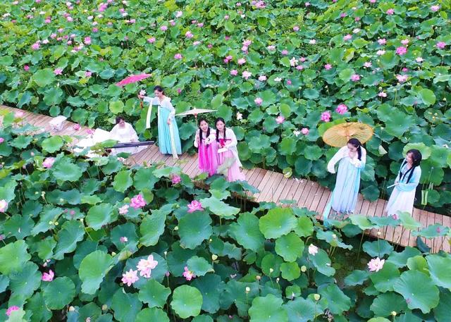 今天农历是几号，2022年农历九月初九老黄历（今天农历五月初五 端午节）