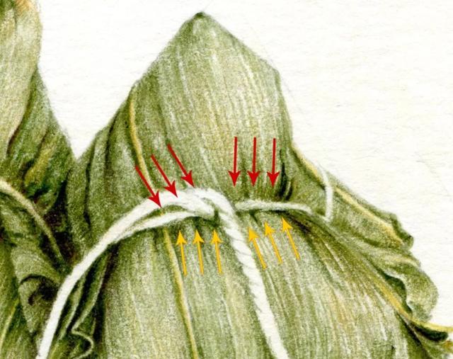 可爱的粽子怎么画，可爱的粽子怎么画（端午节，教你用彩铅画粽子）