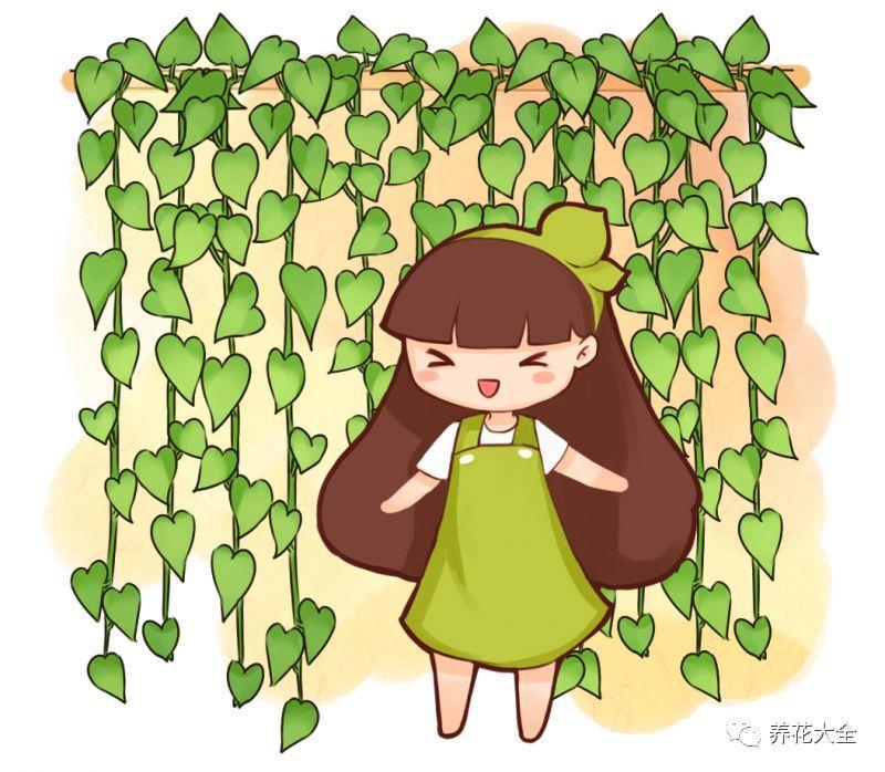 爬山虎图片,种一棵爬山虎 - 玉三网
