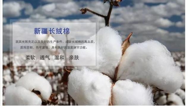 针织棉是啥面料，针织衫棉是什么面料（我买最多的还是长绒针织棉）