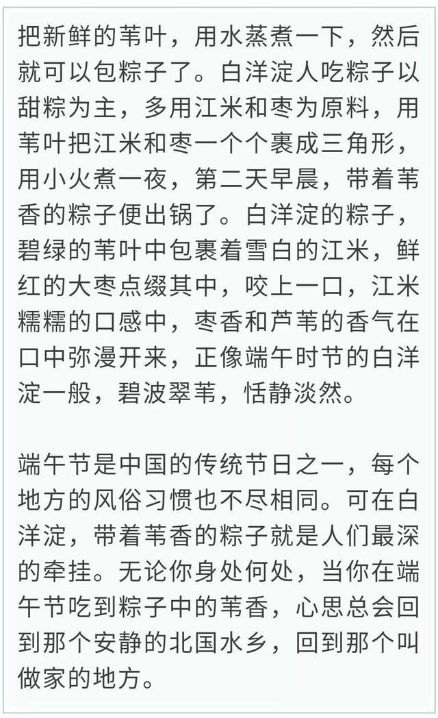 粽子叶是什么植物的叶子，广东粽子叶是什么植物的叶子（粽叶到底是啥植物的叶子）