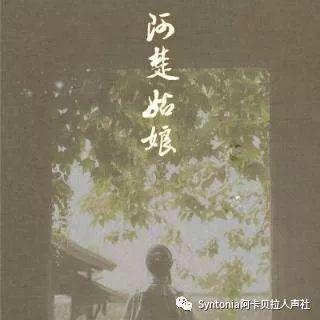 阿楚姑娘歌词，阿楚姑娘歌词含义（Syntonia）