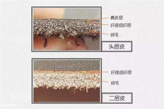头层皮是什么意思(什么是头层皮,什么是二层皮)