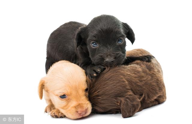 揭秘十二星座的爱情保鲜期，十二星座的爱情保质期（爱情保质期时间最长的星座）