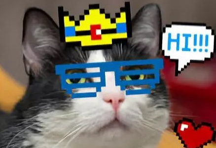 马赛克贴纸，怎么去贴纸马赛克（贴纸超全的修图APP推荐）