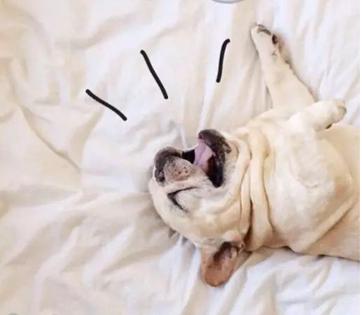 马赛克贴纸，怎么去贴纸马赛克（贴纸超全的修图APP推荐）