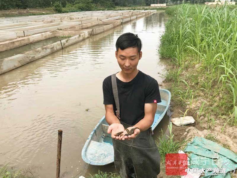 蚂蟥养殖赚钱吗（水蛭养殖市场前景分析）