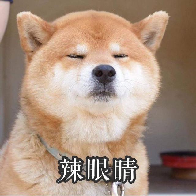 母狗发情有什么特征，狗狗一般隔多久来一次月经（狗狗发情期征兆及正确处理方式）