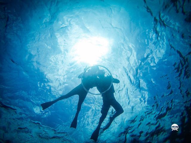 浮潜是什么意思，潜水的潜是什么意思（看完帕劳浮潜组图你会秒懂）