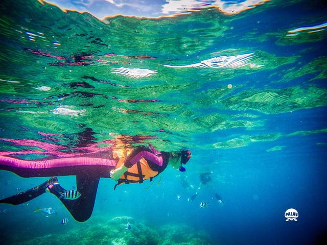 浮潜是什么意思，潜水的潜是什么意思（看完帕劳浮潜组图你会秒懂）