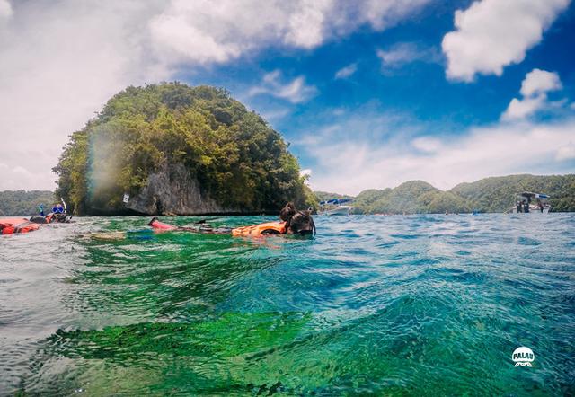 浮潜是什么意思，潜水的潜是什么意思（看完帕劳浮潜组图你会秒懂）