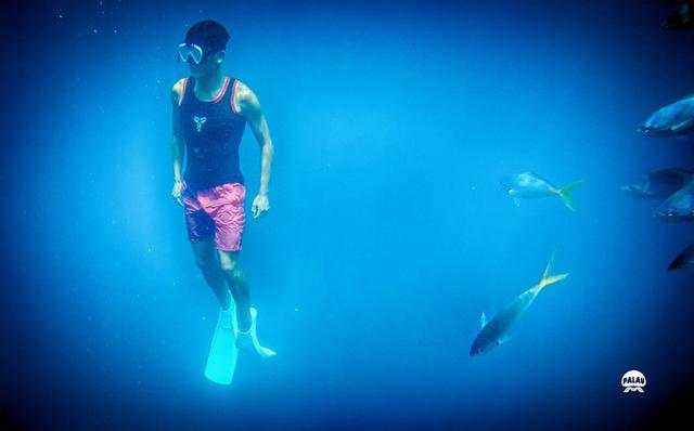 浮潜是什么意思，潜水的潜是什么意思（看完帕劳浮潜组图你会秒懂）