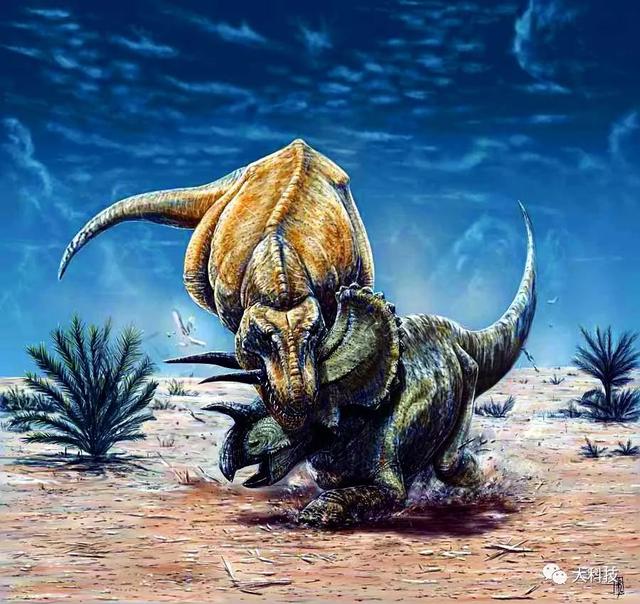 三角龙吃什么，三角龙吃什么饲料（霸王龙咋吃三角龙）