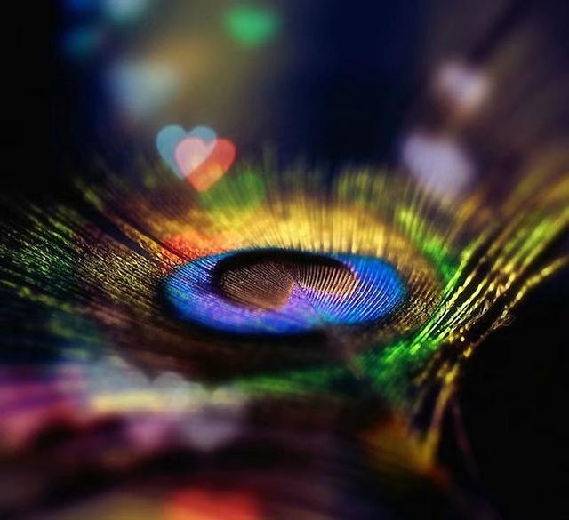 我不能哭的全部歌词，我不能哭歌曲（我不能哭泣）