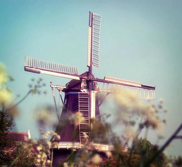 我不能哭的全部歌词，我不能哭歌曲（我不能哭泣）