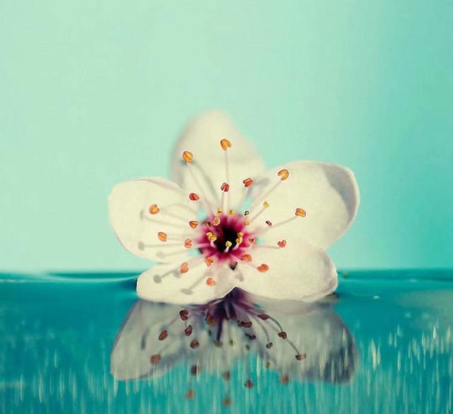 我不能哭的全部歌词，我不能哭歌曲（我不能哭泣）