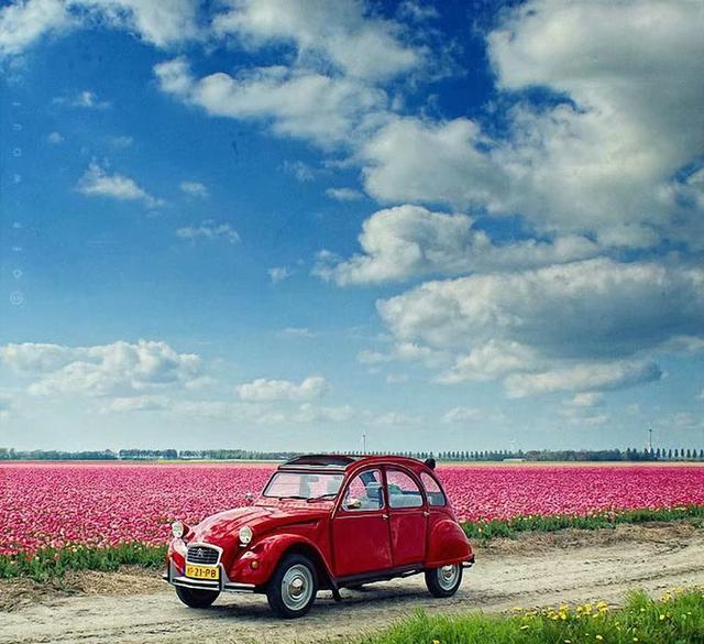 我不能哭的全部歌词，我不能哭歌曲（我不能哭泣）