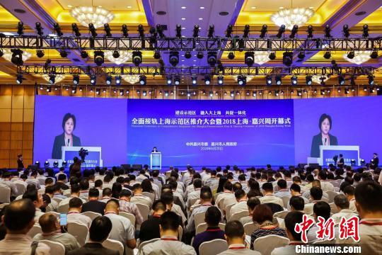 嘉善人才网人才官网，嘉善人才网官网嘉善人事人才网（两地加快推进产业、创新、人才对接）